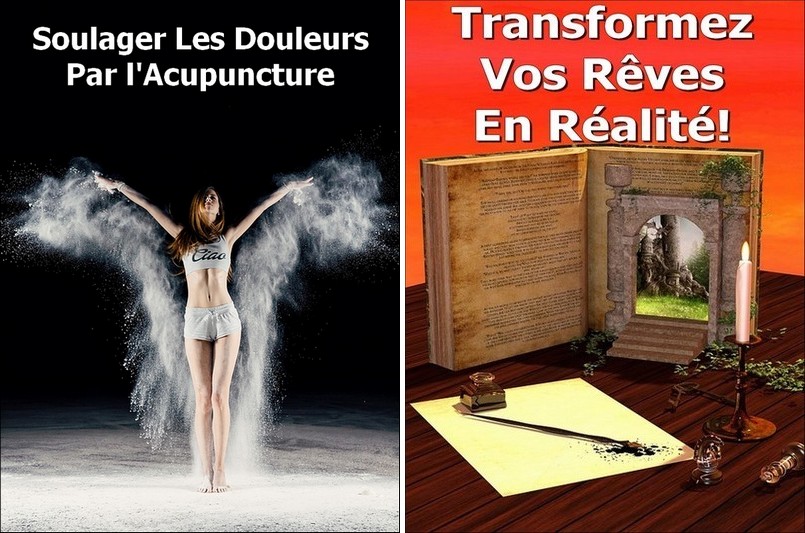 eBook Soulager Les Douleurs Par l'Acupuncture + ebook en bonus