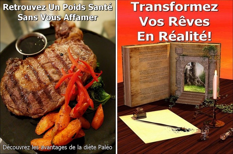 eBook Retrouvez Un Poids Santé Sans Vous Affamer + ebook en bonus